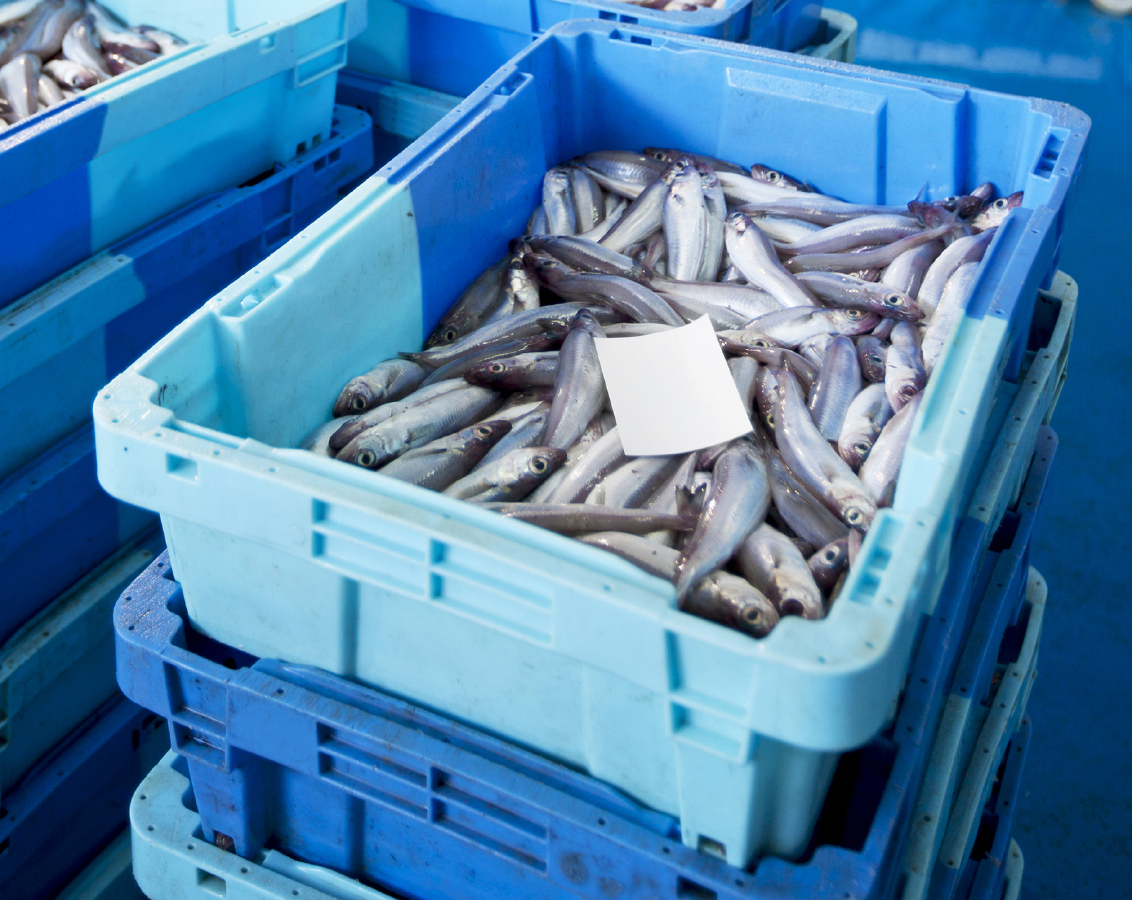 iStock_000014543326Medium_rechthoek